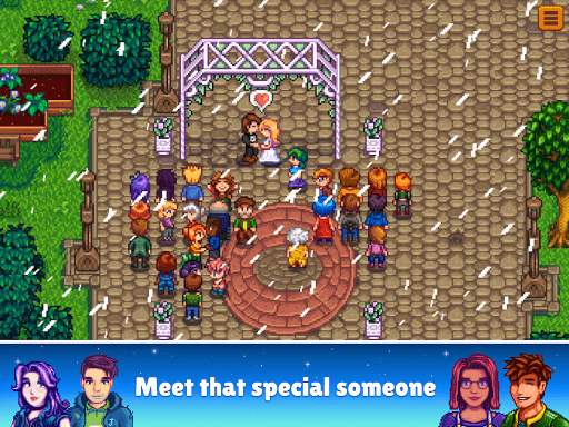 com-chucklefish-stardewvalley-20.png