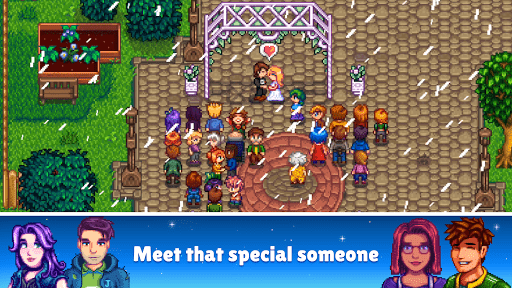 com-chucklefish-stardewvalley-4.png