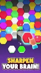 com-gamebrain-hexasort-3.webp