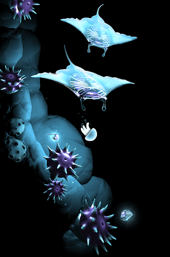 fr-pated-seashine-13.png