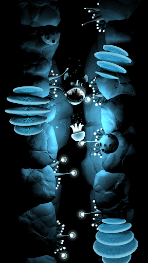 fr-pated-seashine-4.png