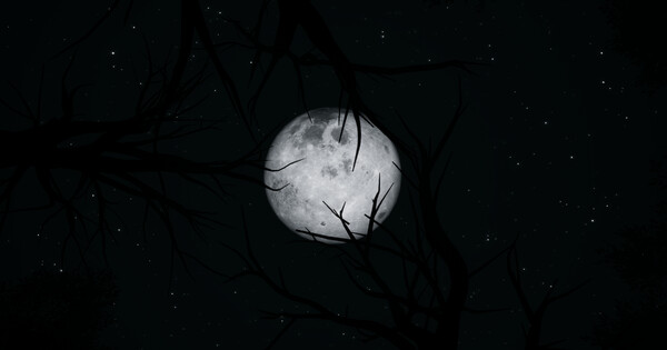 steam_3446200-7.webp
